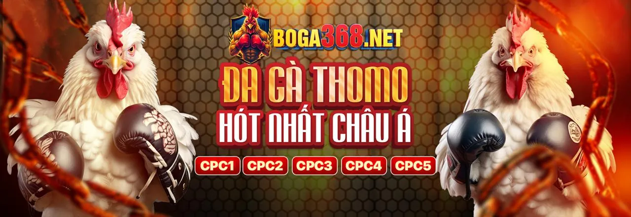 Chương trình Đại lý fv88