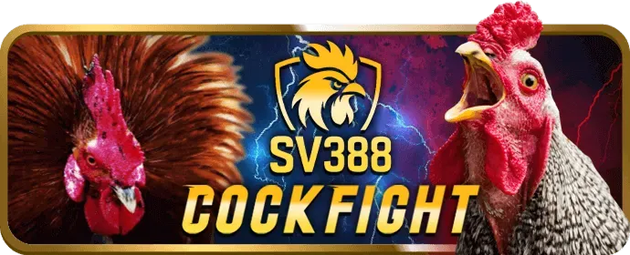 Mẹo chơi Game Bài fv88
